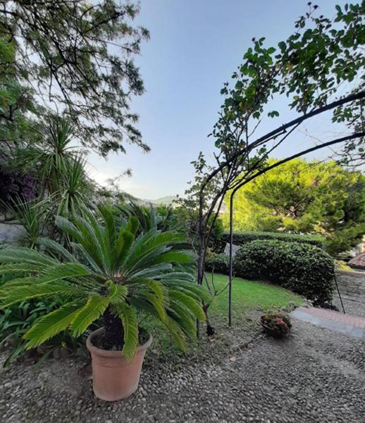 Casa Gazzano Villa Imperia Kültér fotó